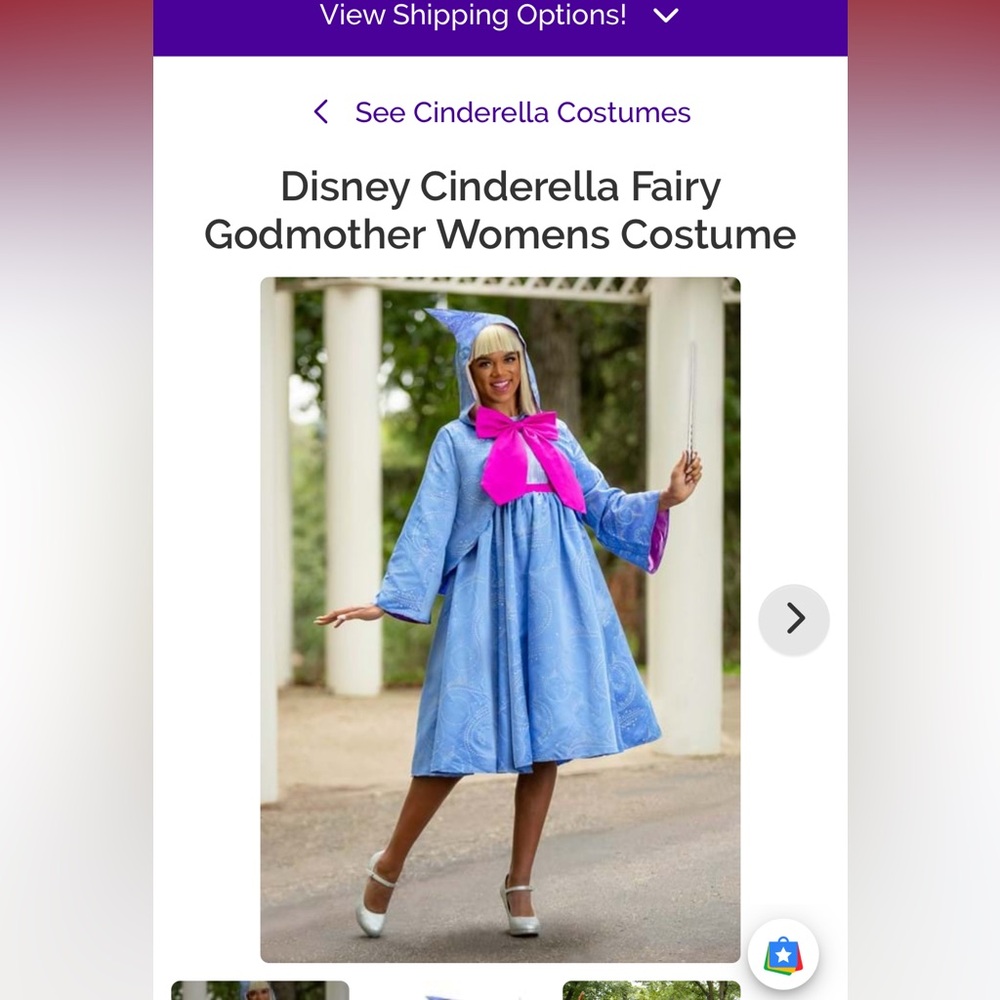 Disney Fairy Godmother Womens Costume - Blue and Pink